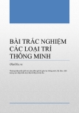 BÀI TRẮC NGHIỆM CÁC LOẠI TRÍ THÔNG MINH