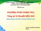 PHƯƠNG PHÁP PHÂN TÍCH Tổng số VI KhuẩN HIẾU KHÍ