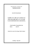 Luận văn:NGHIÊN CỨU CHẾ TẠO VÀ KHẢO SÁT TÍNH CHẤT ĐIỆN HÓA CỦA VẬT LIỆU NANOCOMPOSITE POLYANILINE/TIO2