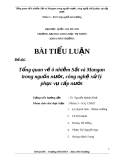 Tiểu luận: Tổng quan về ô nhiễm Sắt và Mangan trong nguồn nước, công nghệ xử lý phục vụ cấp nước