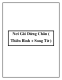 Nơi Gió Dừng Chân ( Thiên Bình + Song Tử )