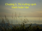 Chương 5: Thị trường cạnh tranh hoàn hảo