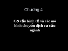 Cơ cấu kinh tế và các mô hình chuyển dịch cơ cấu ngành