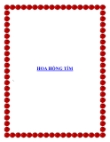 HOA HỒNG TÍM