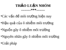 Bài giảng Các vấn đề môi trường