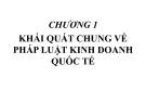 Khái quát về phát luật kinh doanh quốc tế