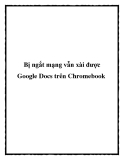 bị ngắt mạng vẫn xài được google docs trên chrom