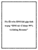 Fix lỗi trên IDM khi gặp tình trạng “IDM tải về được 99% và không Resume”