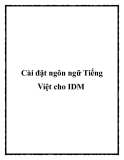 Cài đặt ngôn ngữ Tiếng Việt cho IDM