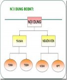 Bài giảng tham khảo : Bảng cân đối kế toán