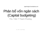 Phân bố ngân sách