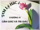 Bài giảng Tâm lý học - Chương 4 Cảm giác và tri giác - GV. Nguyễn Xuân Long 