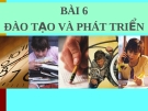 Đào tạo và phát triển nhân viên trong quản trị nhân lực