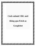 Cách submit URL mới thông qua Fetch as Googlebot