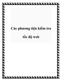 Các phương tiện kiểm tra tốc độ web