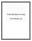 Cách đặt link từ trang Trust Rank cao