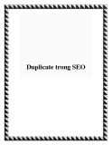 Duplicate trong SEO