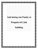 Ảnh hưởng của Panda và Penguin tới Link building