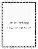 Thay đổi cấp thiết khi Google cập nhật Panda?