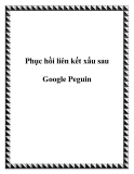 Phục hồi liên kết xấu sau Google Peguin