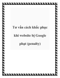 Tư vấn cách khắc phục khi website bị Google phạt (penalty)