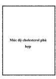 Mức độ cholesterol phù hợp