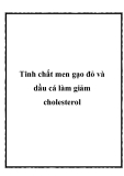 Tinh chất men gạo đỏ và dầu cá làm giảm cholesterol