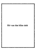 Hở van tim bẩm sinh