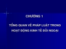 TỔNG QUAN VỀ PHÁP LUẬT TRONG HOẠT ĐỘNG KINH TẾ ĐỐI NGOẠI