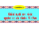 Khái niệm, nhiệm vụ và các nguyên tắc của luật hình sự Việt Nam