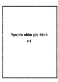 Nguyên nhân gây bệnh trĩ