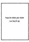 Nguyên nhân gây bệnh cao huyết áp