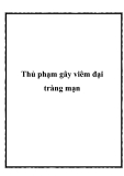 Thủ phạm gây viêm đại tràng mạn