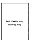 Bệnh tiêu chảy trong mùa nắng nóng