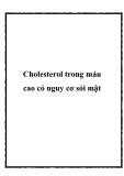 Cholesterol trong máu cao có nguy cơ sỏi mật