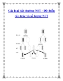Các loại bất thường NST - Đột biến cấu trúc và số lượng NST