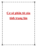 Cơ sở phân tử của tính trạng lặn 