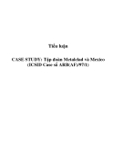 Tiểu luận: CASE STUDY: Tập đoàn Metalclad và Mexico (ICSID Case số ARB(AF)/97/1)