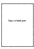 Nguy cơ bệnh gout