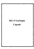 Hỏi về Garbapia Capsule