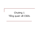 Tổng quan về CSDL