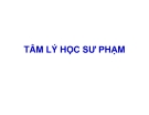 Tâm lý học sư phạm