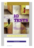 IQ Test (little giant)
