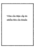 Viêm cầu thận cấp do nhiễm liên cầu khuẩn