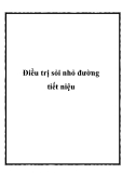 Điều trị sỏi nhỏ đường tiết niệu