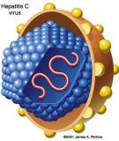 Chuyên đề 1 môn Sinh: ADN và nhân đôi ADN 