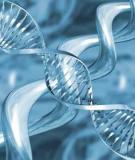 Giải mã sự sống – quá trình phát hiện các mã di truyền 