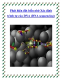 Phát hiện đột biến nhờ Xác định trình tự của DNA (DNA sequencing)