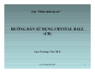 HƯỚNG DẪN SỬ DỤNG CRYSTAL BALL  (CB)