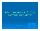 BÁO CÁO NGÂN LƯU CỦA MỘT DỰ ÁN ĐẦU TƯ